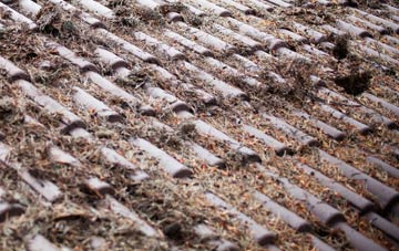 Buccleuch roof cleaning companies